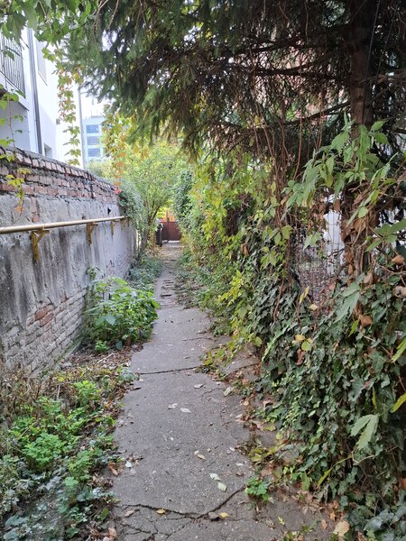 Mitropolie, apartament 3 camere, demisol inalt.